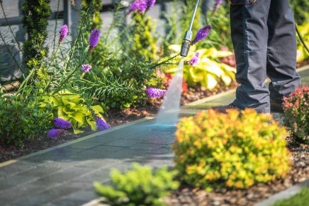 Professional Pressure Washing Services in Hazlehurst, MS