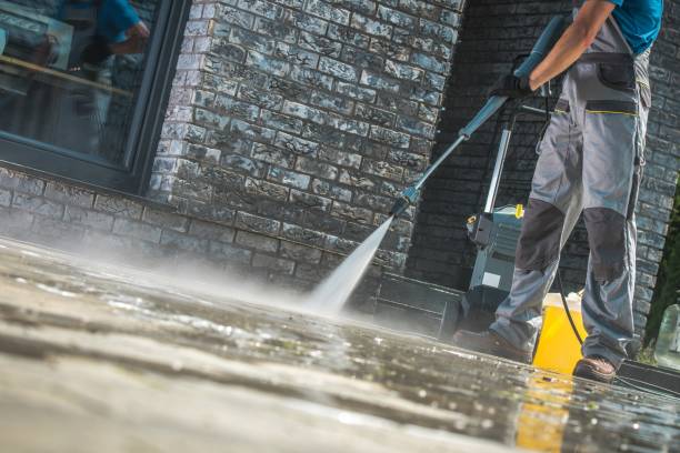 Best Animal Enclosure Cleaning  in Hazlehurst, MS