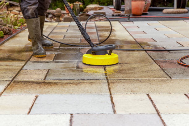 Best Gutter Cleaning  in Hazlehurst, MS
