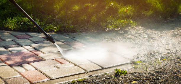 Best Fence Cleaning  in Hazlehurst, MS